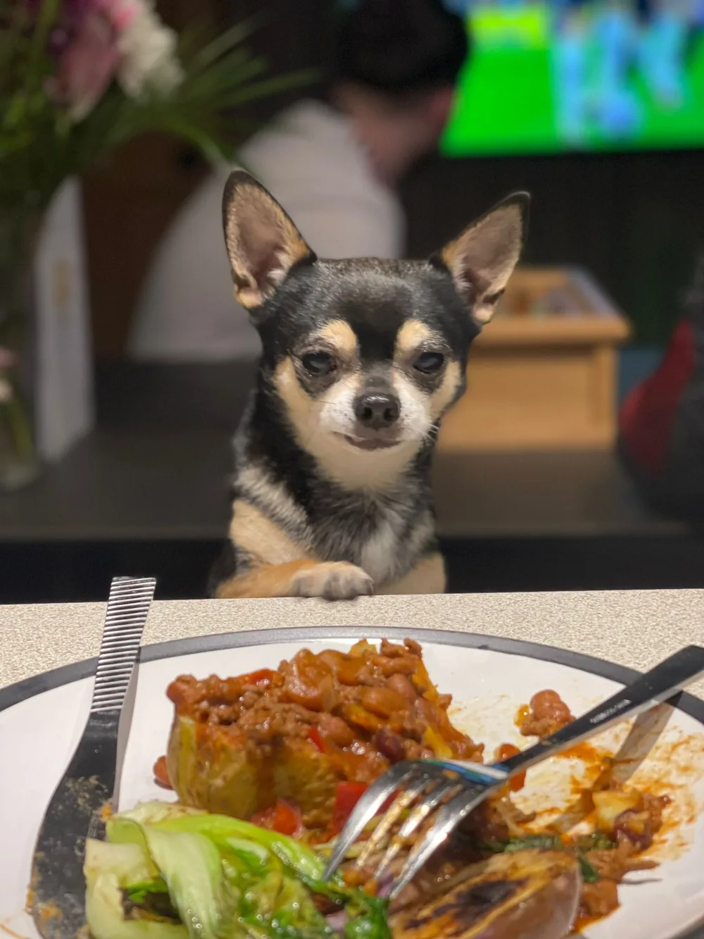 The Best Dog Walks in and Around Norwich